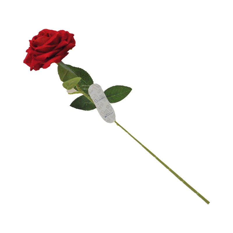 Ideal Living L/S Single Rose