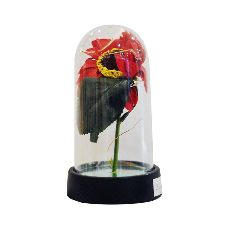 Ideal Living Flower in Glass Dome With Lights Assorted Color