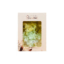 Ideal Living Flower Card In Box