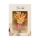 Ideal Living Flower Card In Box
