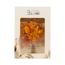 Ideal Living Flower Card In Box