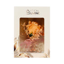 Ideal Living Flower Card In Box