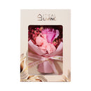 Ideal Living Flower Card In Box