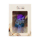 Ideal Living Flower Card In Box