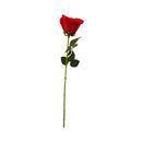 Ideal Living Rose Flower Single