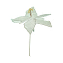 Ideal Living Christmas Poinsettia