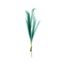 Ideal Living Pampas Grass