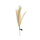Ideal Living Pampas Grass