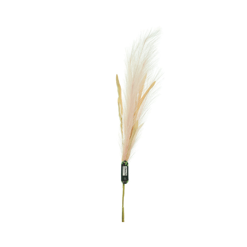 Ideal Living Pampas Grass