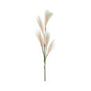 Ideal Living Pampas Grass
