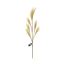 Ideal Living Pampas Grass