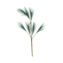 Ideal Living Pampas Grass