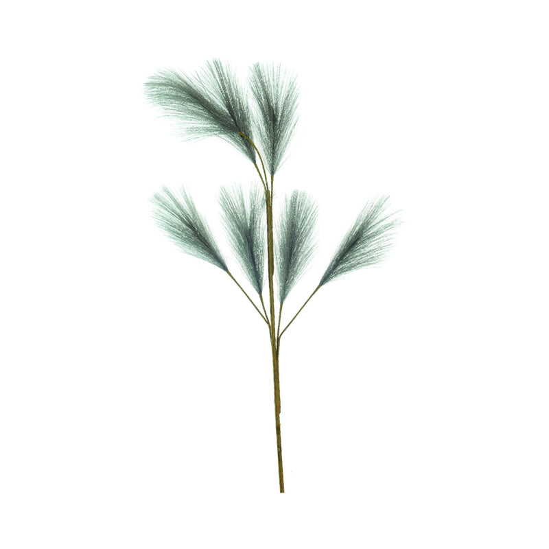 Ideal Living Pampas Grass