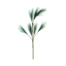 Ideal Living Pampas Grass