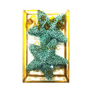 Ideal Living Christmas Star 2's