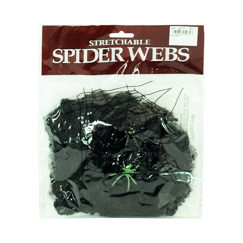 Spider Web