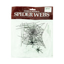 Spider Web