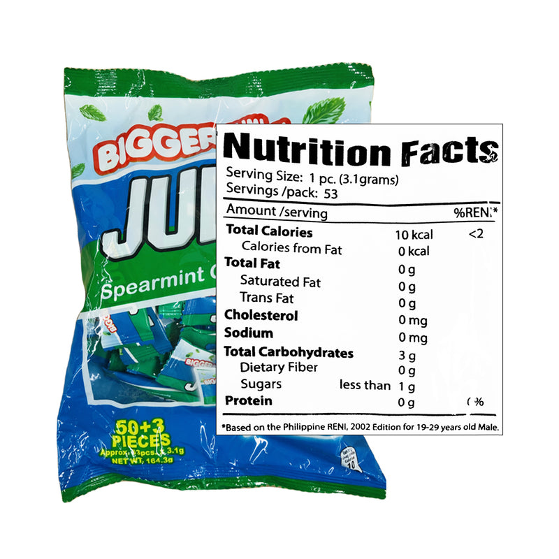 Judge Chewing Gum Sticks Spearmint 176g