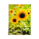 Seven Notes Traditional Bloom Facts Spiral Notebook 685 80 Leaves