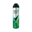 Rexona Men Anti Perspirant Arctic Rush Bergamot Fresh 135ml