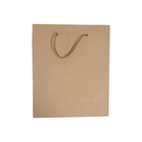Shenmel's Arts And Crafts Kraft Bag