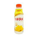 Nutri Express Flavored Yogurt Drink 500g