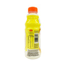 Nutri Express Flavored Yogurt Drink 500g