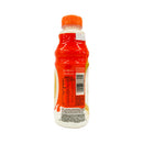 Nutri Express Flavored Yogurt Drink 500g