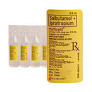 Multivent Salbutamol 2.5mg/500mcg Nebule 2.5ml