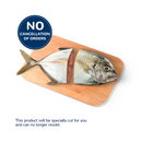 Talakitok (Maliputo)