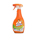Mr Muscle Mold & Mildew Killer Primary 500ml