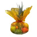 13 Kinds Assorted Fruits