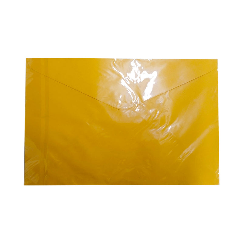 Document Envelope 10x15 10's