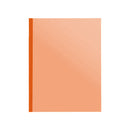 EVO Plastic Slide Folder Orange A4