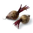 Sugar Beets Approx. 500g