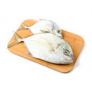 Talakitok (Maliputo)