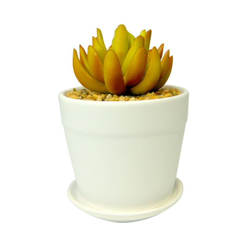 At Home Dilly Faux Plant Small White