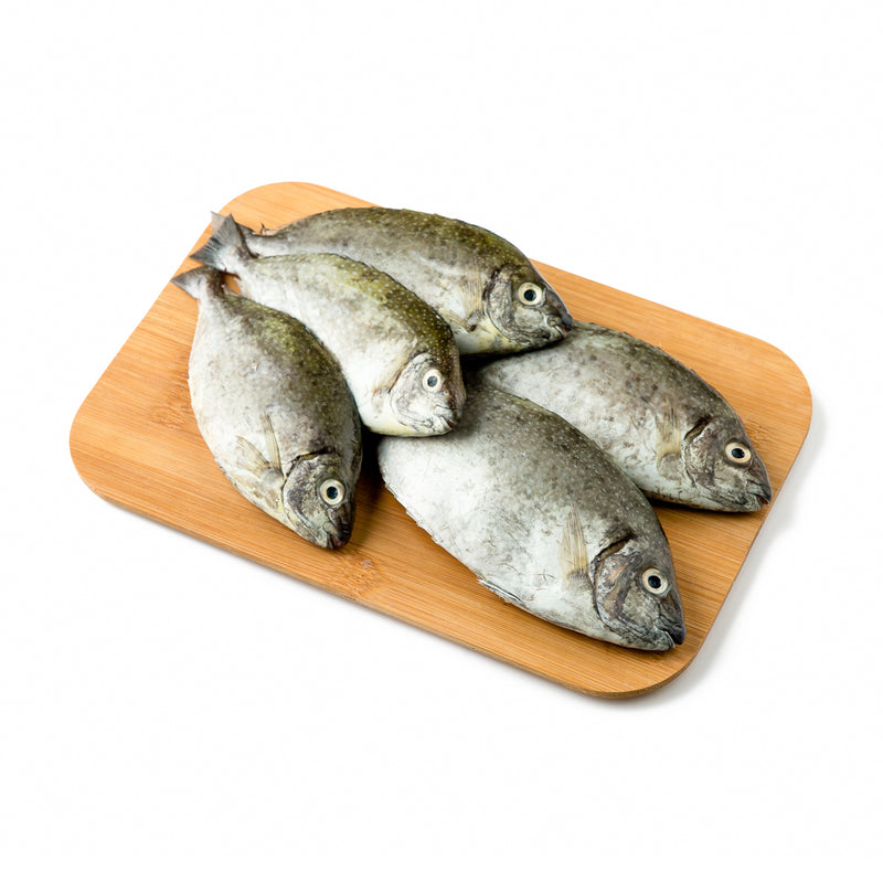 Danggit Fish