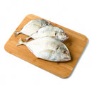 Talakitok (Maliputo)