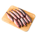 Solid Fish (Bilason)