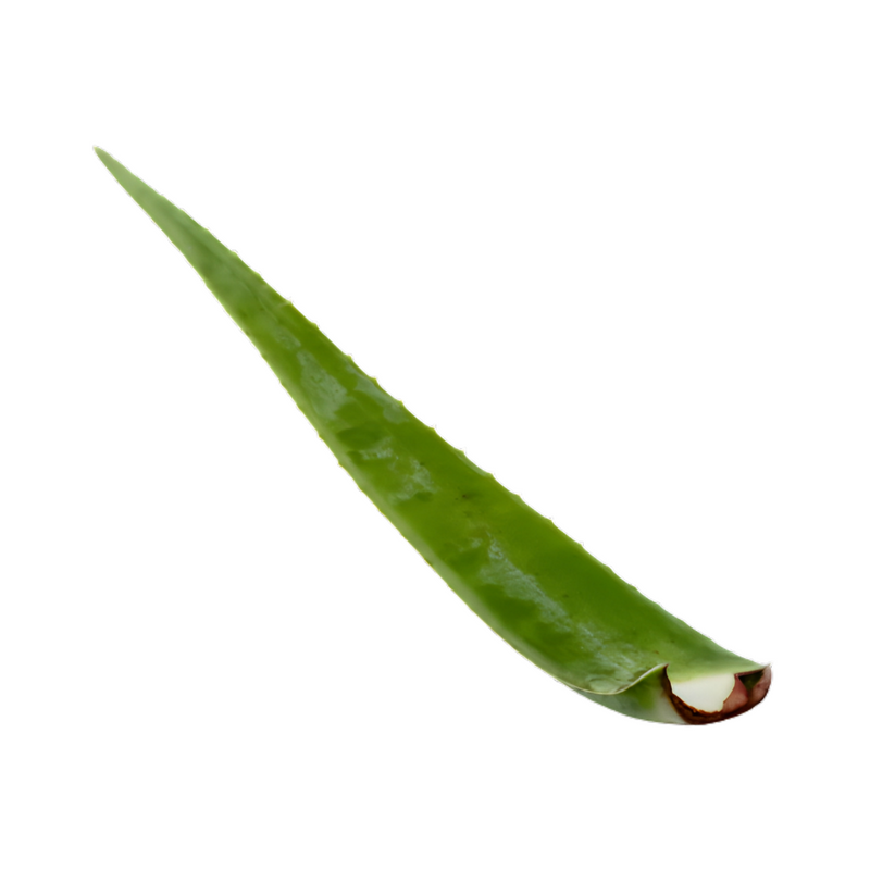 Aloe Vera Leaf Approx. 300g