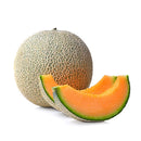 Melon Cantaloupe