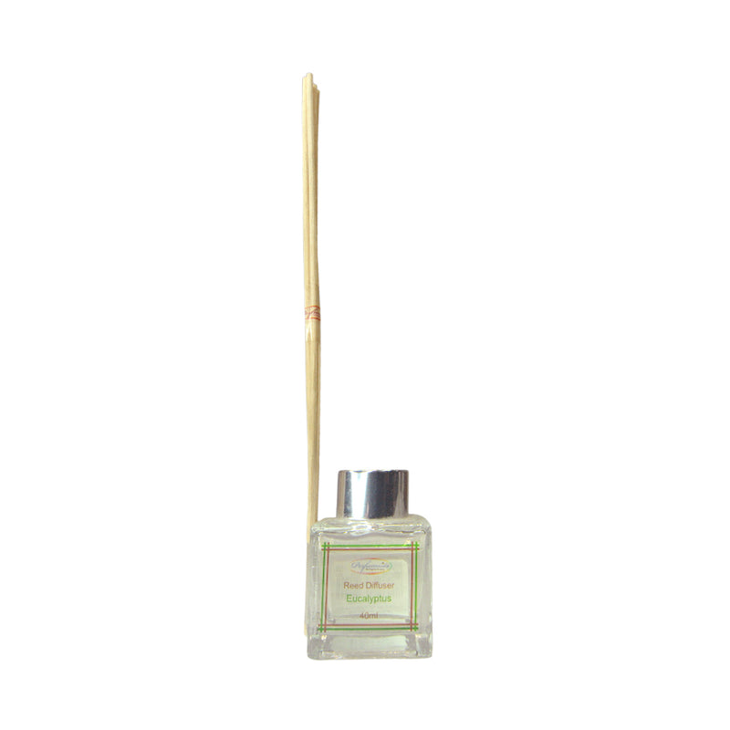 Perfumista Reed Diffuser Set Eucalyptus 40ml