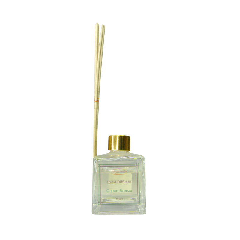 Perfumista Reed Diffuser Set Ocean Breeze 100ml