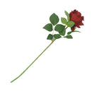 Single Rose ZF14