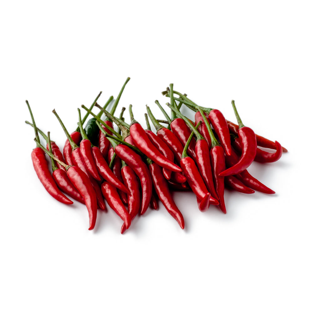 Labuyo Types/sizes Taiwan Labuyo