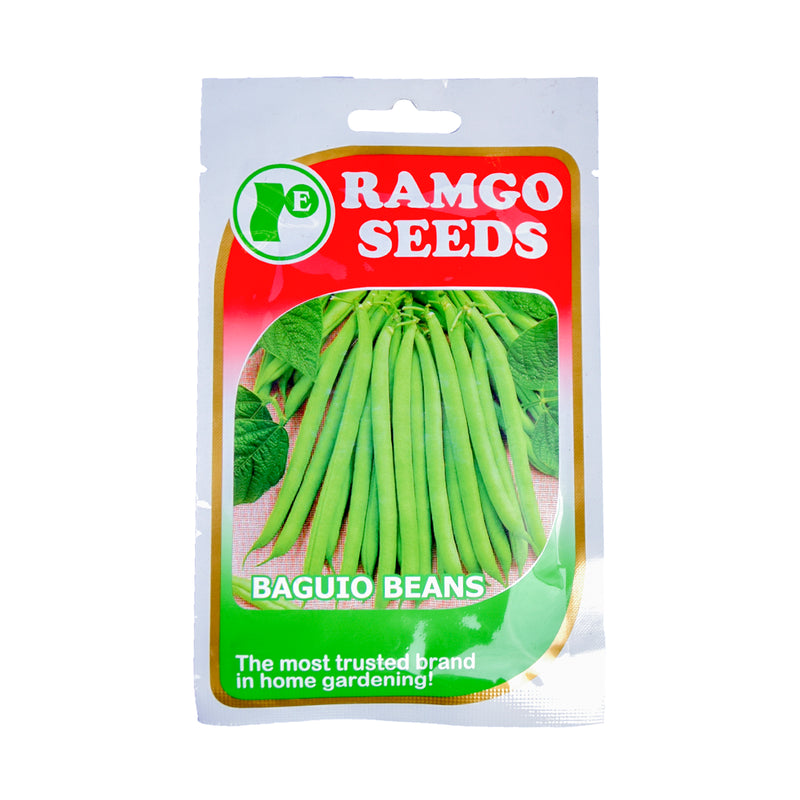 Ramgo Seeds Baguio Beans Jordan Black