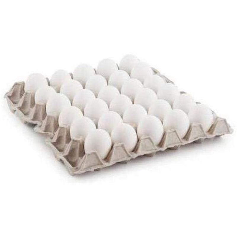 Fresh Eggs Medium (Tray)