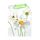 Kcc School And Office Supplies Large Coated Paper Bag All Occasion
